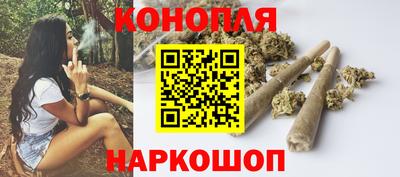 сатива Жуковский