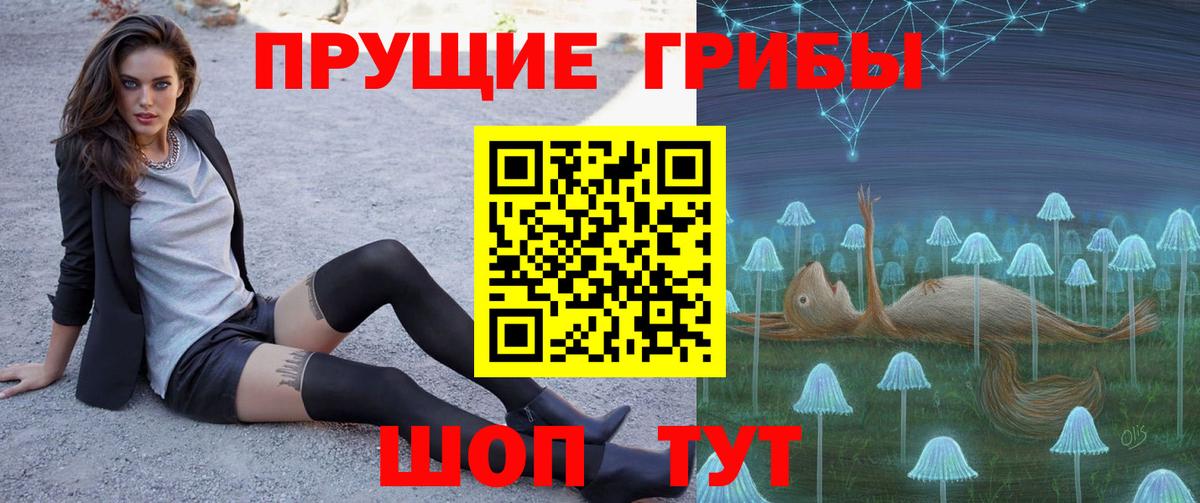 Майкоп  Псилоцибиновые грибы мицелий  Вход с VPN 
